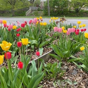 Meet your Posher, Kelsey